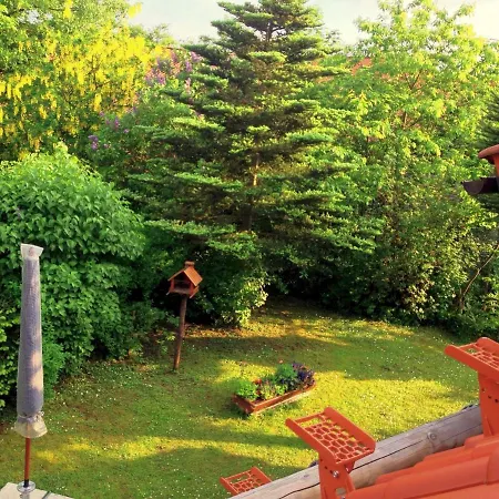 Sequoia Hahnenklee Goslar