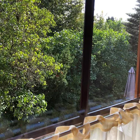 Sequoia Hahnenklee Goslar