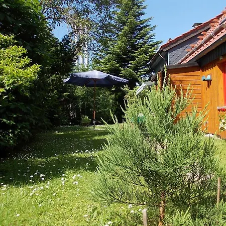 Sequoia Hahnenklee * Goslar