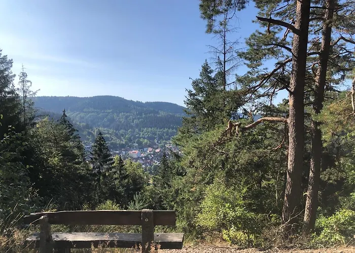 Ferienhaus Sequoia Hahnenklee