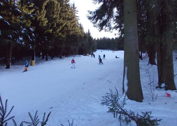 Sequoia Hahnenklee 別荘